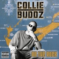 searching_Collie Buddz
