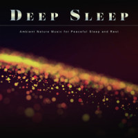 Sleep Aid and Guitar Music_Deep Sleep,Deep Sleep Music Solitude,Deep Sleep Music Experience