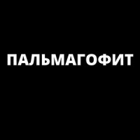 ПАЛЬМАГОФИТ_Bad Bit,MORGENSHTERN