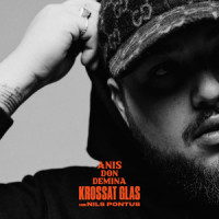 Krossat glas (feat. Nils Pontus)_Anis Don Demina,Nils Pontus