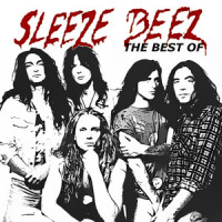 I Don't Wanna Live Without You_sleeze beez