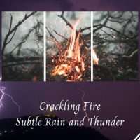 Fire Over Water_Forest Rain FX,Binaural Beats Solutions,Thunderstorms