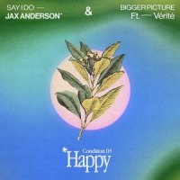Bigger Picture(feat. VÉRITÉ)_Jax Anderson,VÉRITÉ