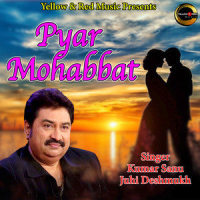 Pyar Mohabbat_Kumar Sanu,Juhi Deshmukh,Dinesh Patel