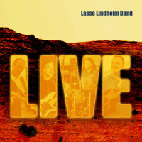 Tequila Sunrise_Lasse Lindholm Band,Don Henley