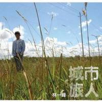SMSNICQ_林一峰