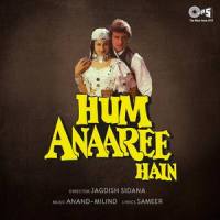 Hey Tune Mujhe Pehli Nazar Mein_Alka Yagnik,Kumar Sanu