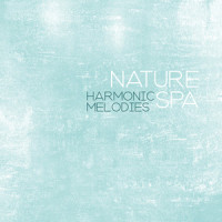 New Age Relaxing Music_Sounds Of Nature,Spa Zen,Wellness