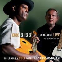 Walkin' Blues Again_Eric Bibb