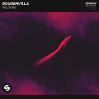 Wildfire_Bougenvilla