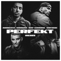 Perfekt_AriBeatz,RAF Camora,DARDAN,Sofiane