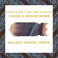 I Need A Drone Bomb_Golden Vessel
