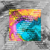 Amnesia_N.Flying