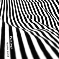 Ghost Tree(feat. Michael Manring)_David Franklin,Michael Manring