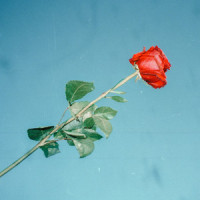 Disposable Love_Jye,Jye Peter Geltch