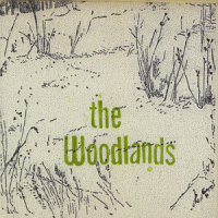 Through The Winter_The Woodlands