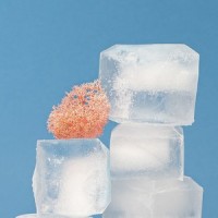 夏日青春企划_贵州放克王
