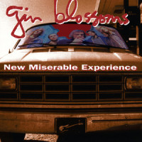 Hands Are Tied_Gin Blossoms