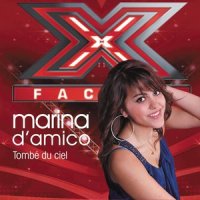 Tombé du ciel_Marina d'Amico