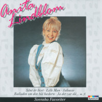 Lille man_Anita Lindblom
