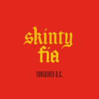 Skinty Fia_FONTAINES D.C.