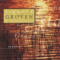 Dagbok_Sigmund Groven