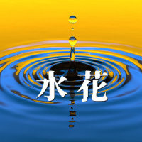 水花_董文华