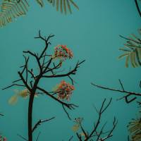 Time Stood Still_Mellow