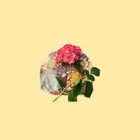 Excuses (feat. Iceberg)_Lincoln,Iceberg