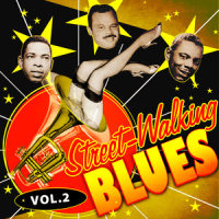 Blueberry Hill_Buster Brown,Elmore James