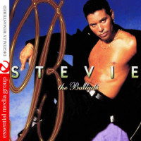 Because I Love You(The Postman Song)_Stevie B