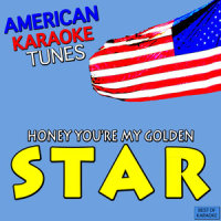 Somebody That I Used to Know (Originally Performed by Gotye)_American Karaoke Tunes,Kimbra,The WAV.s
