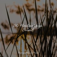 Easy Going_Yoga Workout Music,Wellness,Entspannungsmusik Oase