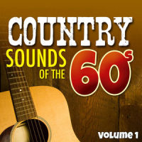 I Wish I Could Fall in Love Again_Ray Price