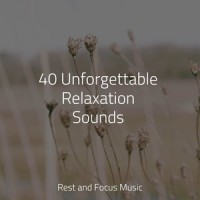 Warmth in the Sea_Musica Relaxante,Pet Care Music Therapy,Sleepy Times