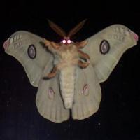 myself_Fauna,HARVEST,Luke Taylor,kazukami