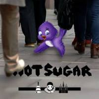 I know you didn't mean to step on your pet bird when you were a kid_Hot Sugar,Nicolas Koenig-Dzialowski