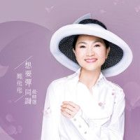 阿娘的心_凤飞飞