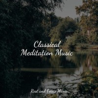 Morning Meditation Melody_Entspannungsmusik Meer,Life Sounds Nature,Sleepy Times