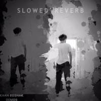 Benimle Kayboldun(Slowed + Reverb)_Young Zargo,Kaan Bosnak