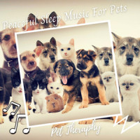 Mindful Bowls for Dogs_Sleeping Music For Dogs,Sleepy Dogs,Cat Music Therapy