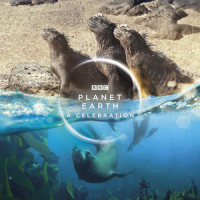 Surfing Dolphins_Hans Zimmer,Jacob Shea,BBC Concert Orchestra