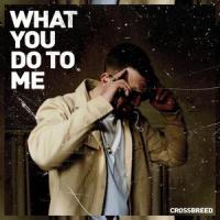 What You Do To Me_Crossbreed