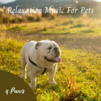 Morning Walk_Music For Cats,Sleepy Dogs,The Canine Composer's Series