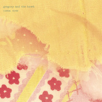 Sleeping States_Gregory And The Hawk