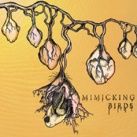 Burning Stars_Mimicking Birds