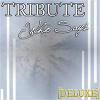 Who Says (Selena Gomez & The Scene Tribute) - Instrumental_The Singles