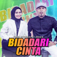 Bidadari Cinta_Nazia Marwiana,Brodin