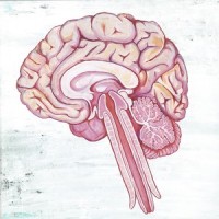 Psych Xlude_Shing02
