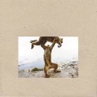 Surveyor_Shellac